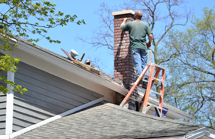 Chimney & Fireplace Inspections Services in Des Plaines, IL